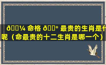 🐼 命格 💮 最贵的生肖是什么呢（命最贵的十二生肖是哪一个）